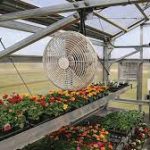 Maximize Light and Ventilation in Your Hall Greenhouse