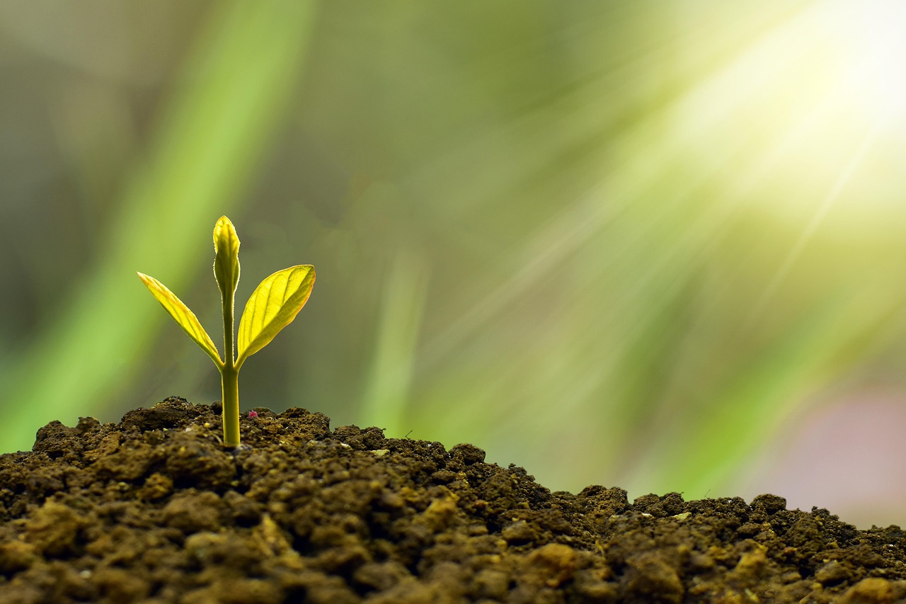 Investment, concept, business — 4 Reasons to turn down work as a freelance project manager