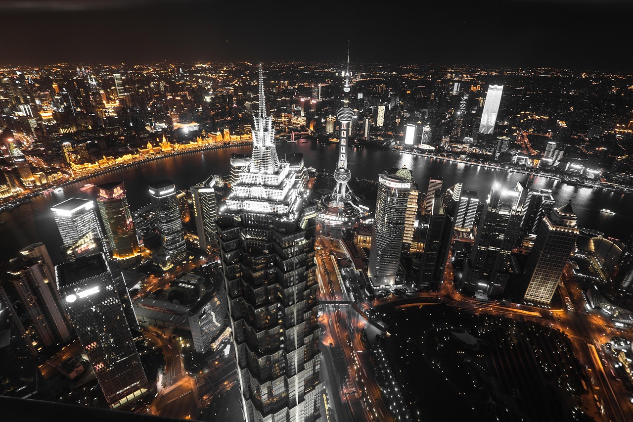 Night, city, shanghai — Business Skills for Better Customer Success