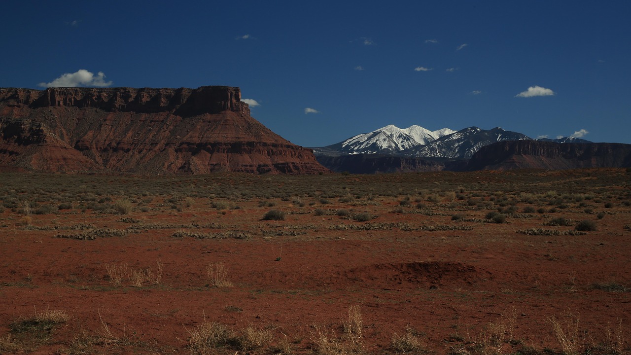 Landscape, mountains, new mexico — Can I Refuse a Sobriety Test in TN?