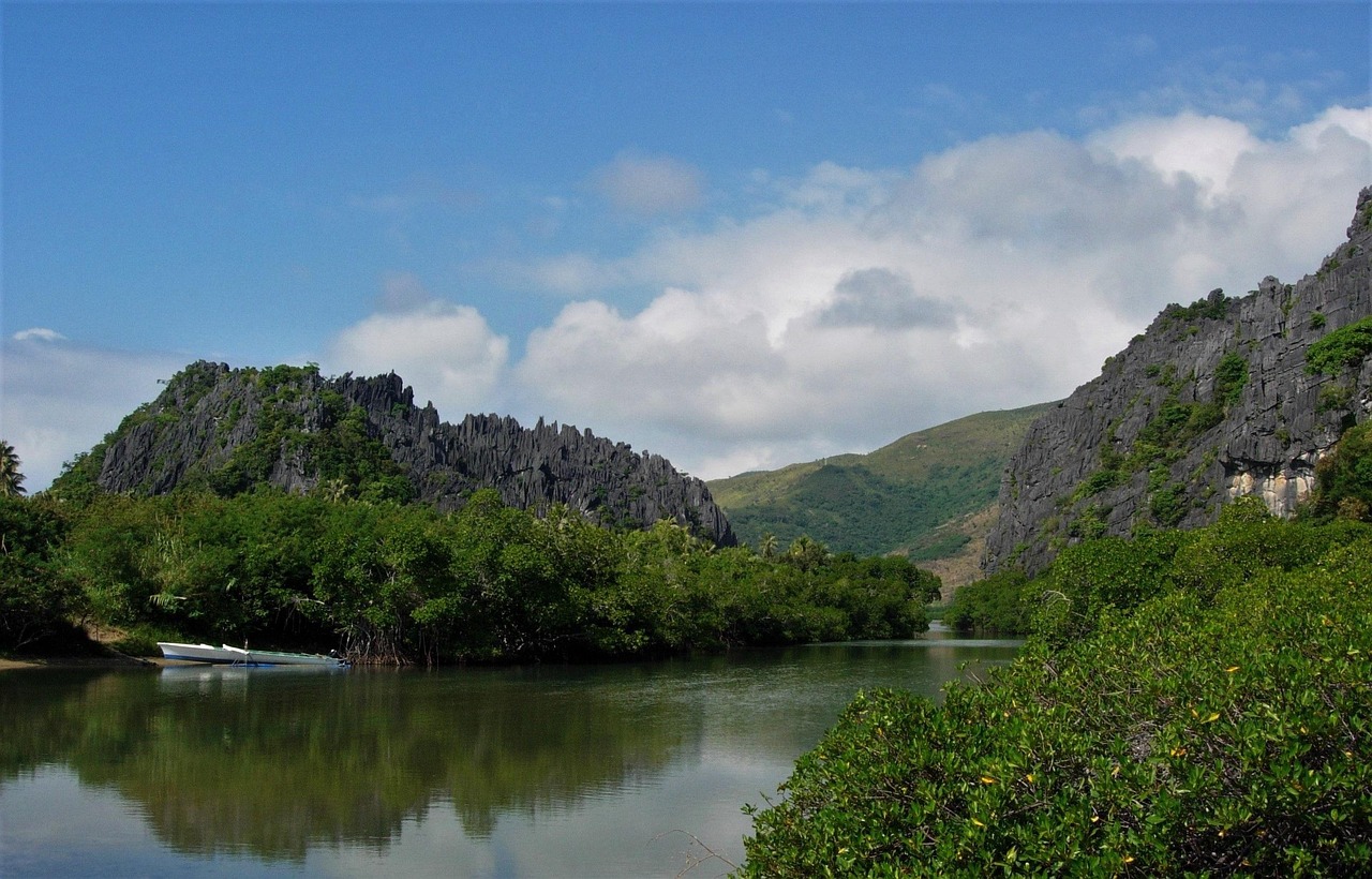 Lindéralique, new caledonia, east coast new caledonia — How are SEO services helping businesses to grow in a post-Covid Marke