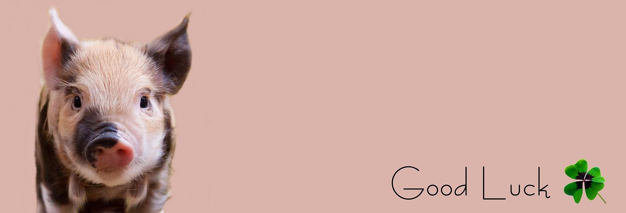 Piglet, pig, happiness — How to use images properly for creating brand awareness