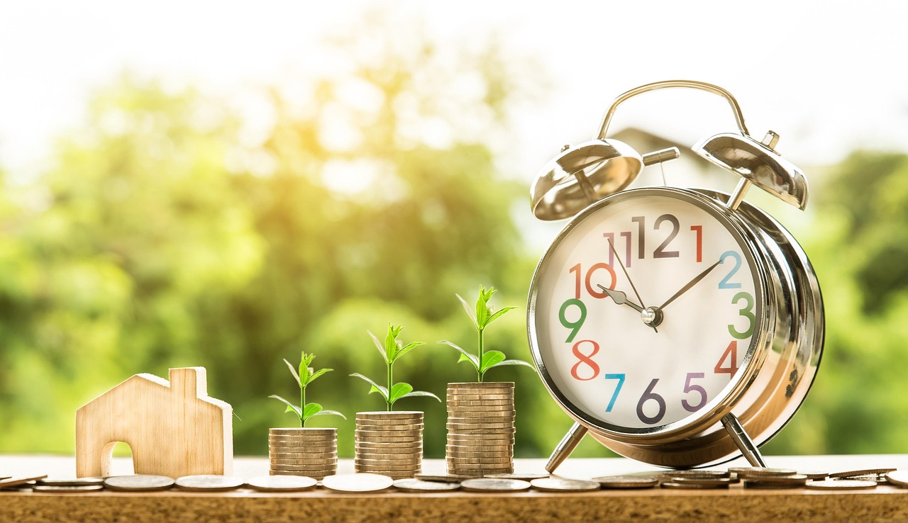 Money, finance, mortgage — In this present scenario, to establish any business you must focus on proper website planning.