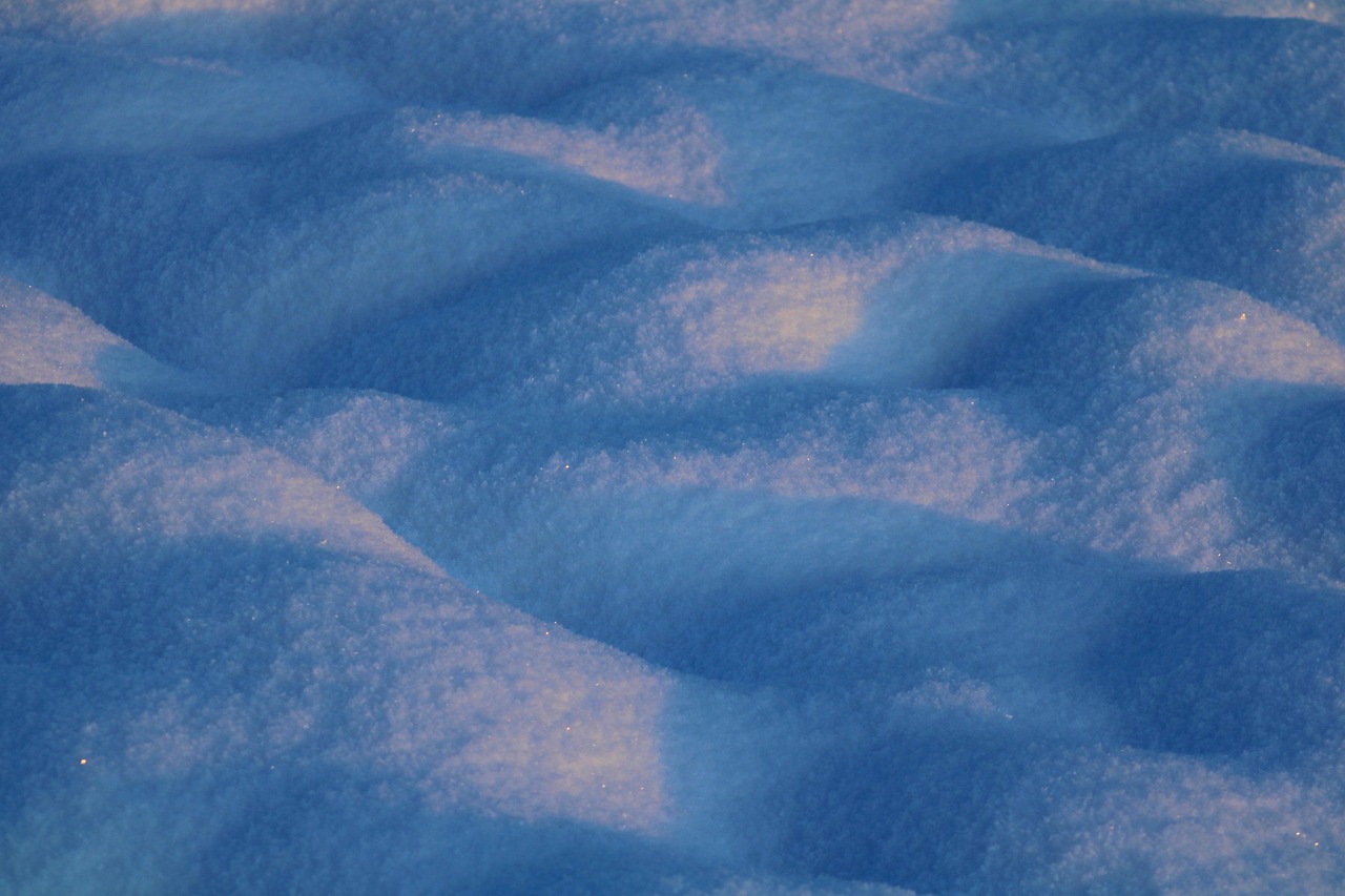 Snow, nature, winter — Paper wallets and what you should know about