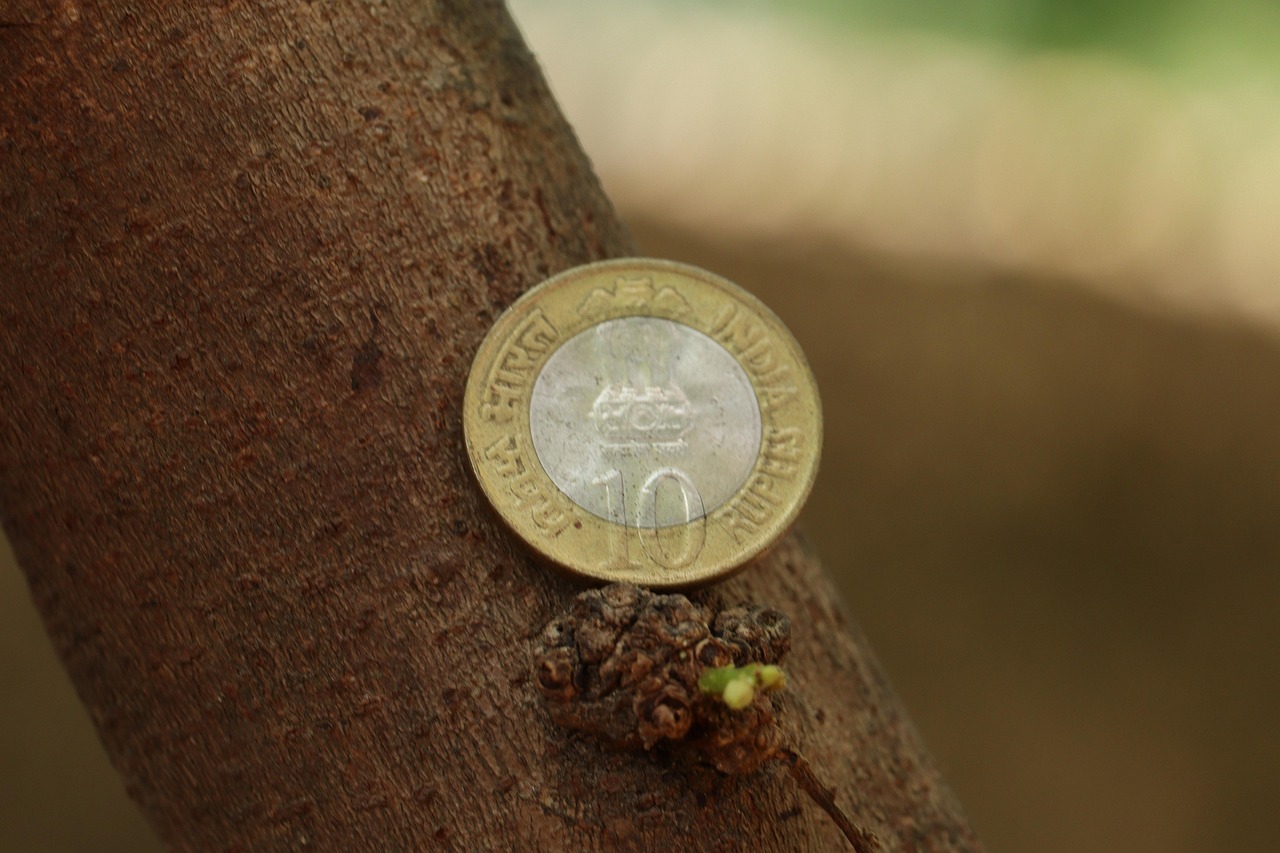 Coin, design, texture — The Role of MetaTrader 4 in Transforming CFD Trading Practices