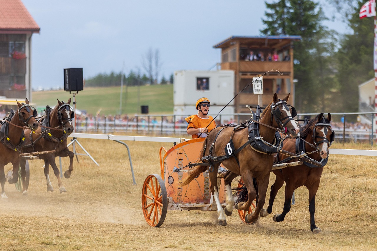 Horses, horse race, run — Who Can File a Wrongful-Death Lawsuit