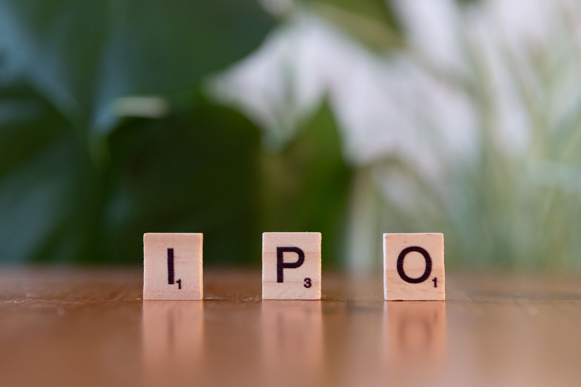 BSE IPO index