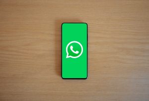 EPFO on WhatsApp: Easy Way to Get Complete PF Details